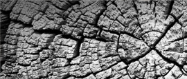 Mortgages Thumbnail